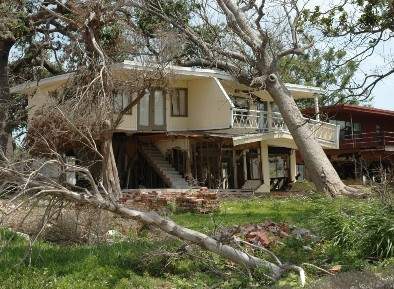 Downed trees on a house